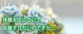 トップ10第1位